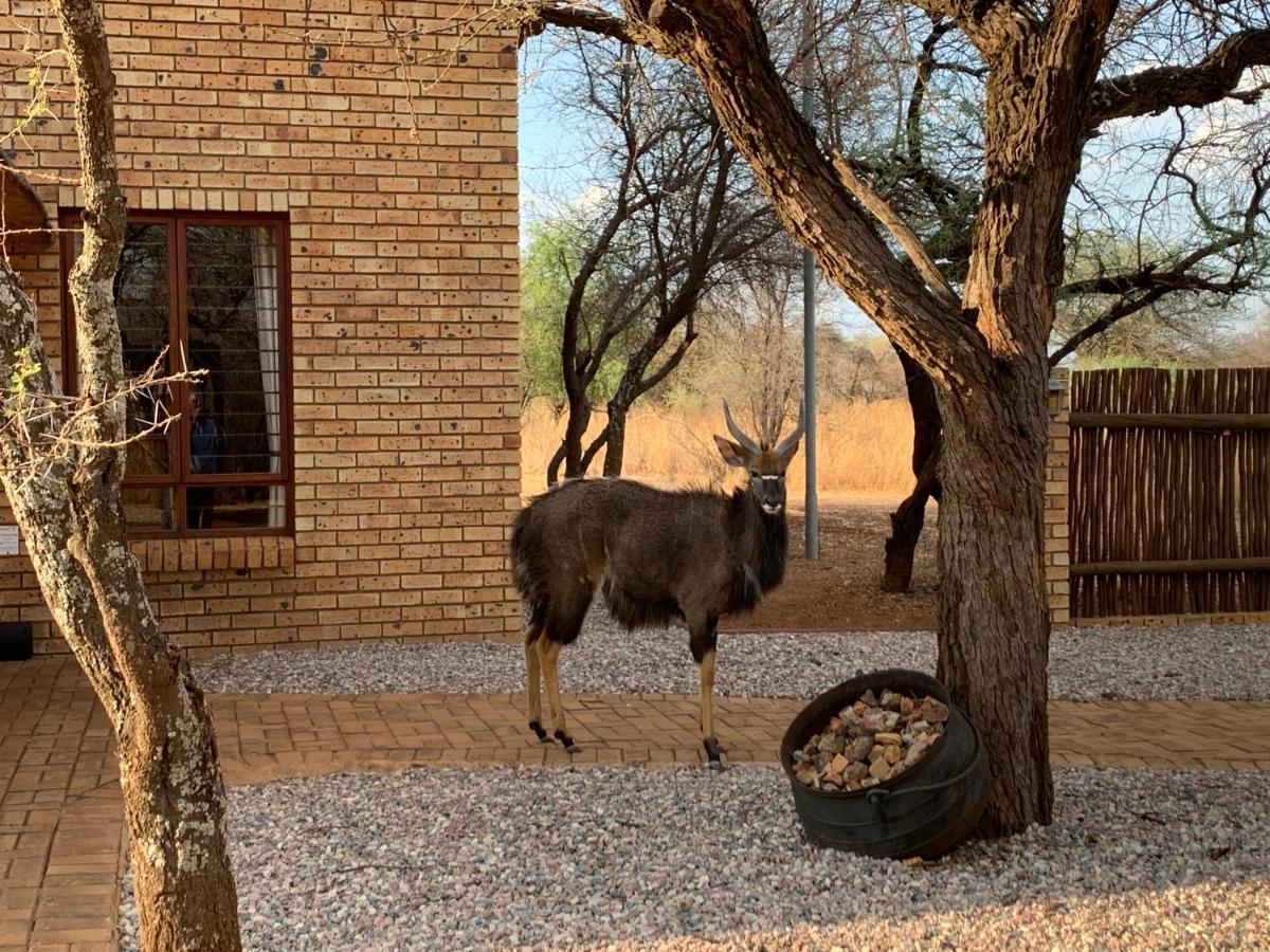 Makhato Bush Lodge 111 Bela-Bela Kültér fotó